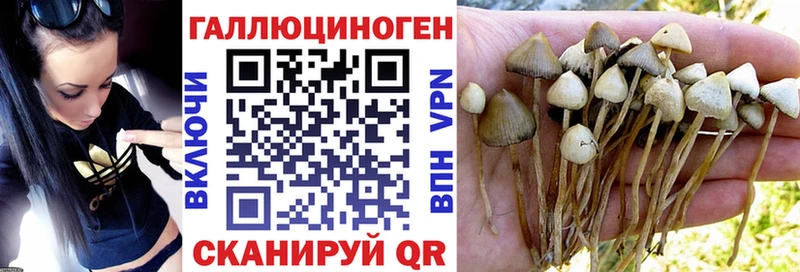 blacksprut ССЫЛКА  купить закладку  Георгиевск  Псилоцибиновые грибы прущие грибы 